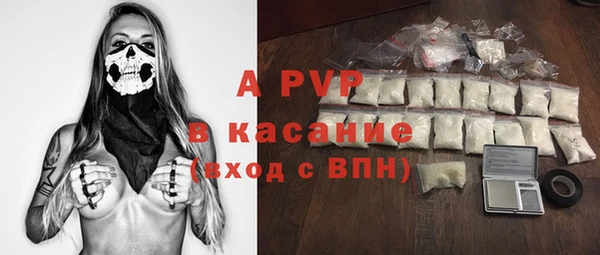 молекула духа Елабуга