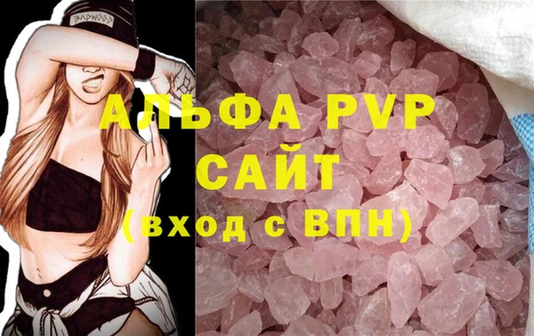 гашик Ельня