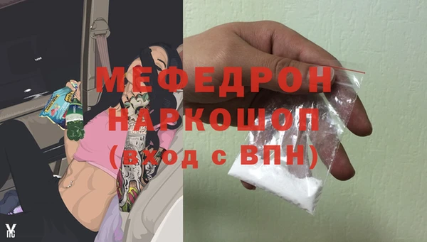 гашик Ельня
