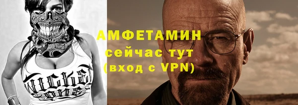 гашик Ельня