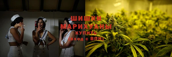 гашик Ельня