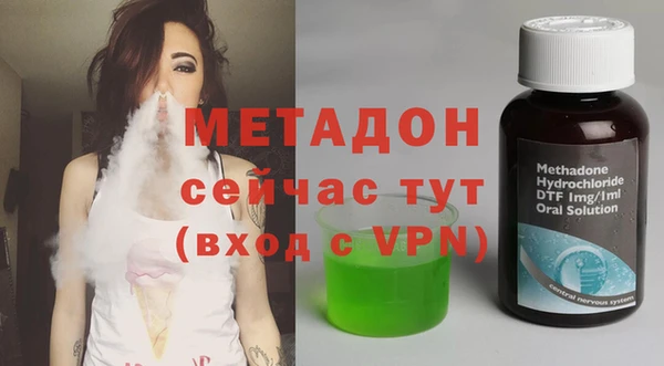 гашик Ельня
