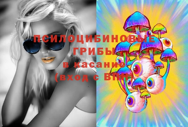 молекула духа Елабуга