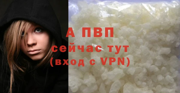 гашик Ельня