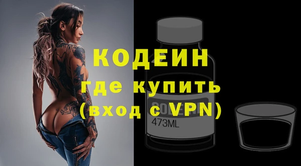 гашик Ельня
