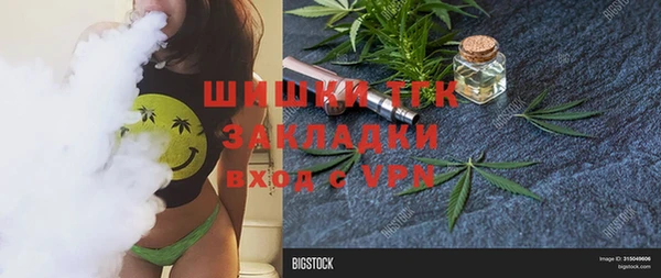 гашик Ельня