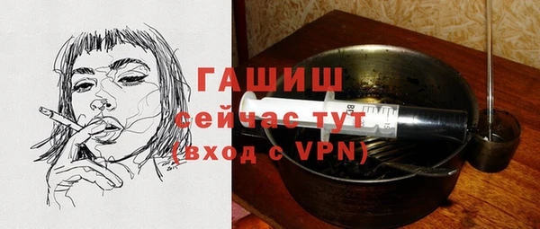 молекула духа Елабуга