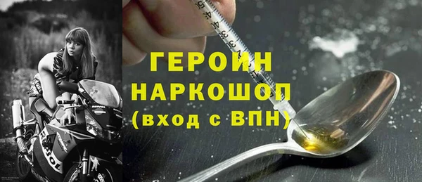 гашик Ельня