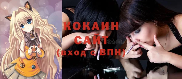 гашик Ельня